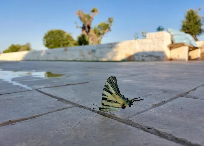 Dimora Carucci דירה *