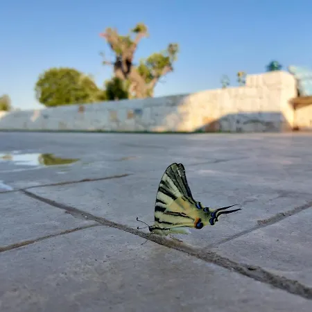 Dimora Carucci Appartement *