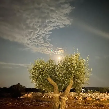 Dimora Carucci Ночи